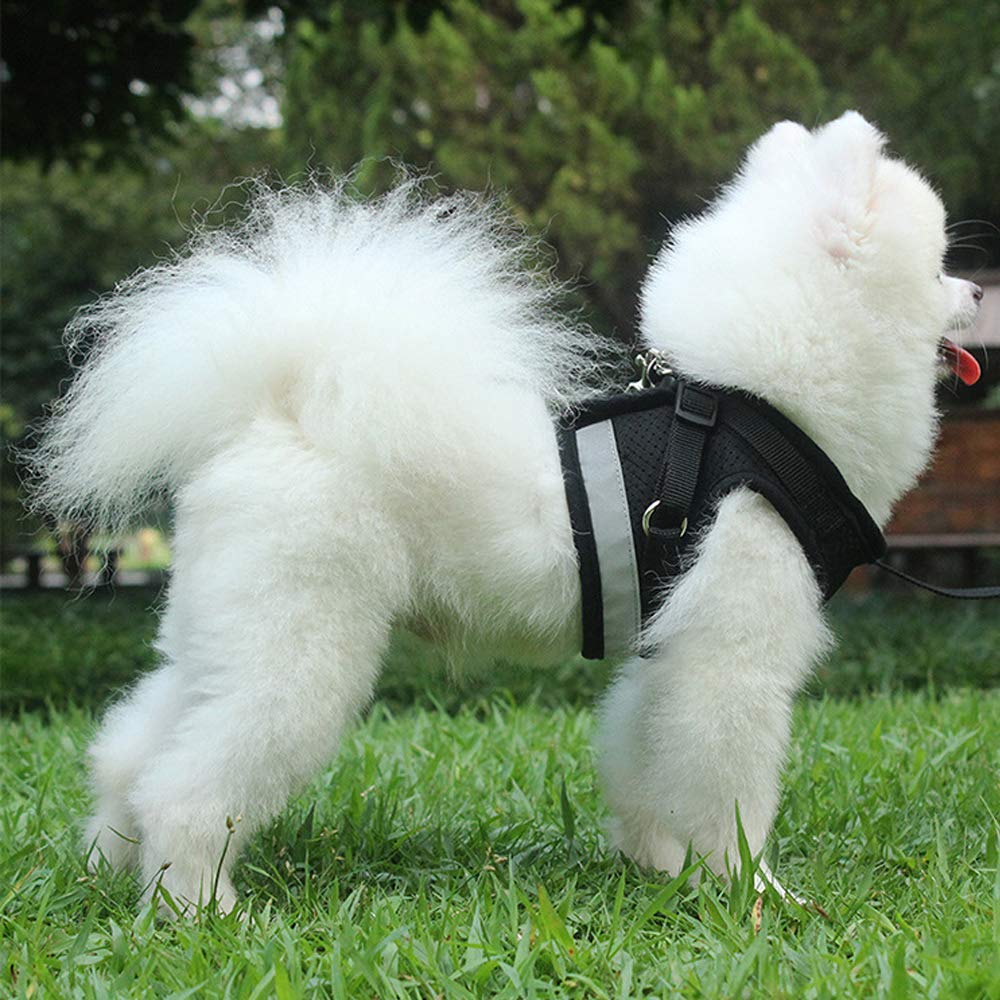 Qpets Dog Harness for Large Dogs, Adjustable Dog Belt with Safety Reflective Strip, Breathable Mesh Fabric Cat Belt, Dog Vest Harness with Leash (Suitable for 4-6 kg) Qpets Dog Harness for Large Dogs, Adjustable Dog Belt with Safety Reflective Strip, Breathable Mesh Fabric Cat Belt, Dog Vest Harness with Leash (Suitable for 4-6 kg)